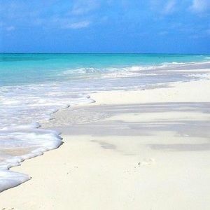 Meet your Posher, Candace